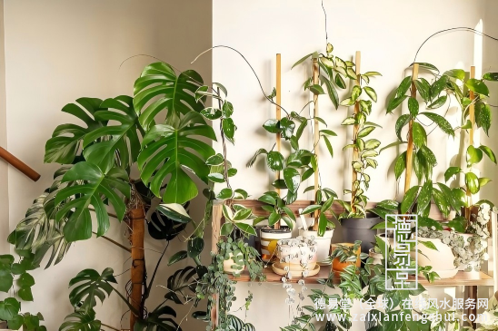 1765852129805728.png 屏幕截图 2025-12-15 170849.png