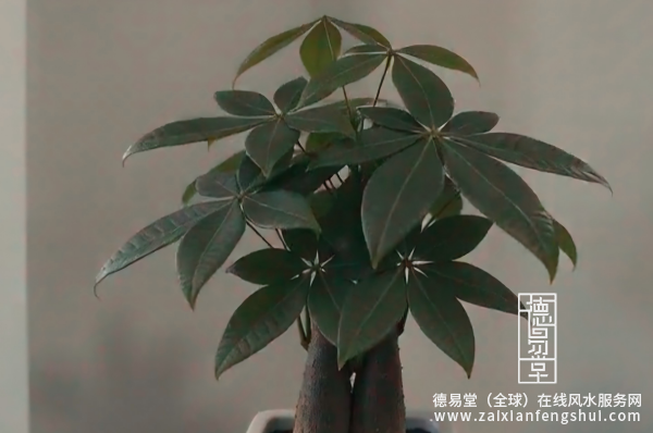 1788140722104888.png 封图.png